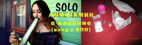 индика Алексин