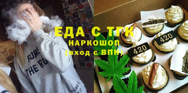 индика Алексин