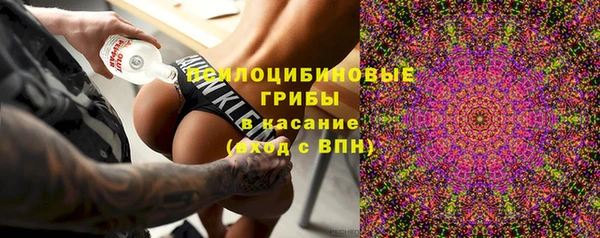 индика Алексин