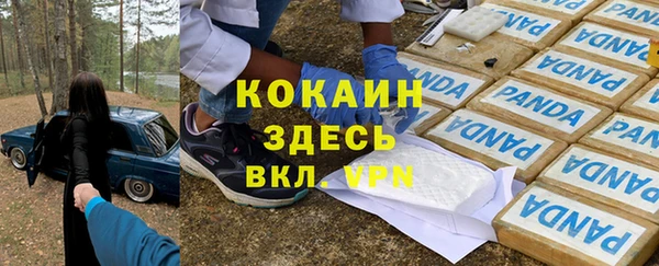 МДПВ Алзамай