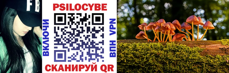 Галлюциногенные грибы прущие грибы Махачкала